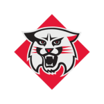 Davidson Wildcats