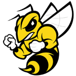 Randolph Macon Yellow Jackets