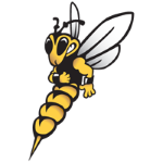 Wisconsin-Superior Yellowjackets