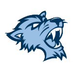 Baruch Bearcats