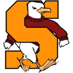 Salisbury Sea Gulls