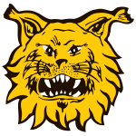 Tampereen Ilves