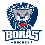 Borås HC