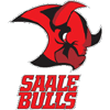 ESC Halle Saale Bulls